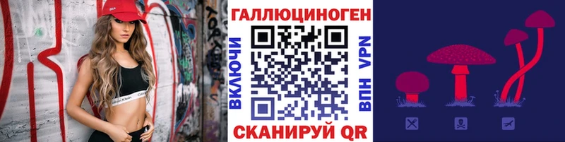 Галлюциногенные грибы Cubensis  Горно-Алтайск 